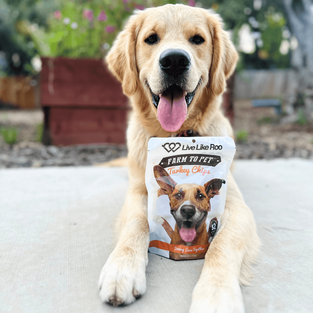 Friandises pour chiens Live Like Roo Turkey Chips | Des friandises qui font la différence