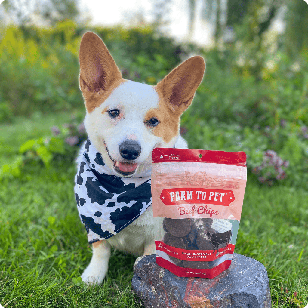 Friandises pour chiens aux copeaux de bœuf | Friandises saines à ingrédient unique pour chiens