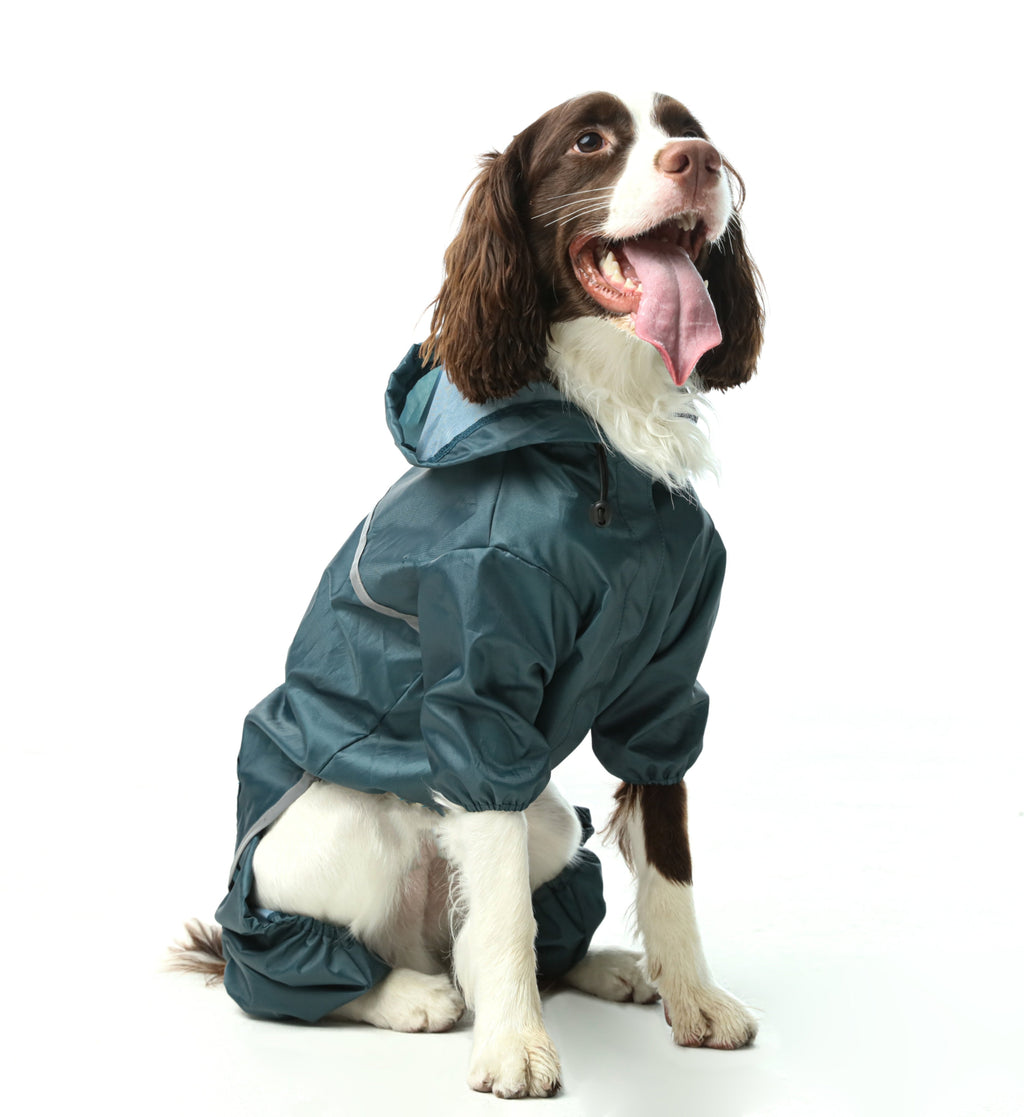 Veste imperméable à capuche intégrale ultralégère pour chien - Bleu