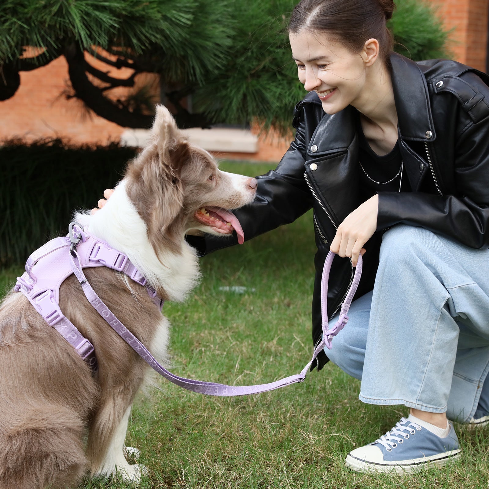 LAISSE REMBOURRÉE ACTIVE POUR ANIMAUX DE COMPAGNIE - VIOLET MENTHE
