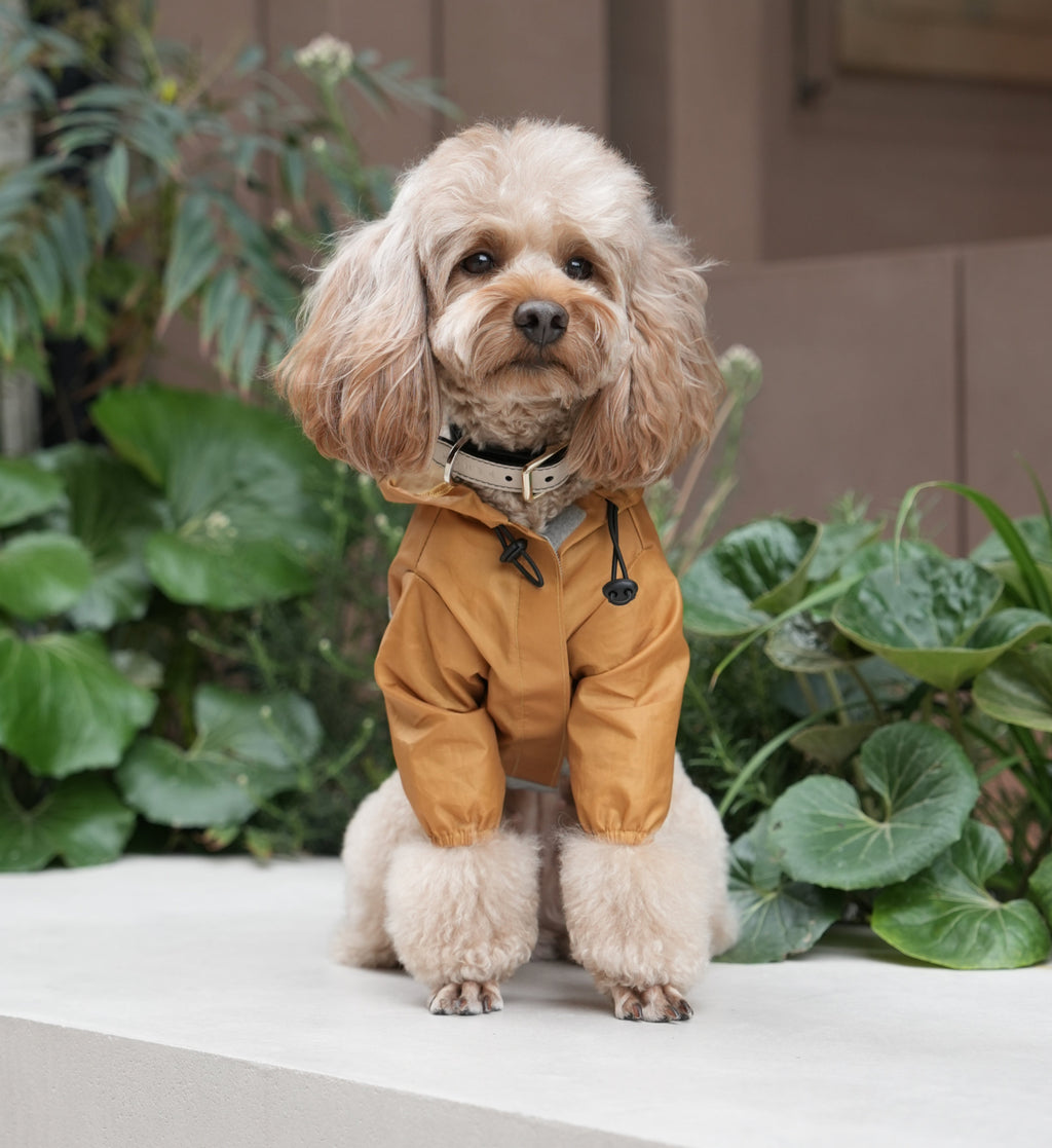 Veste pour chien imperméable, ultralégère et entièrement couvrante avec capuche - Jaune