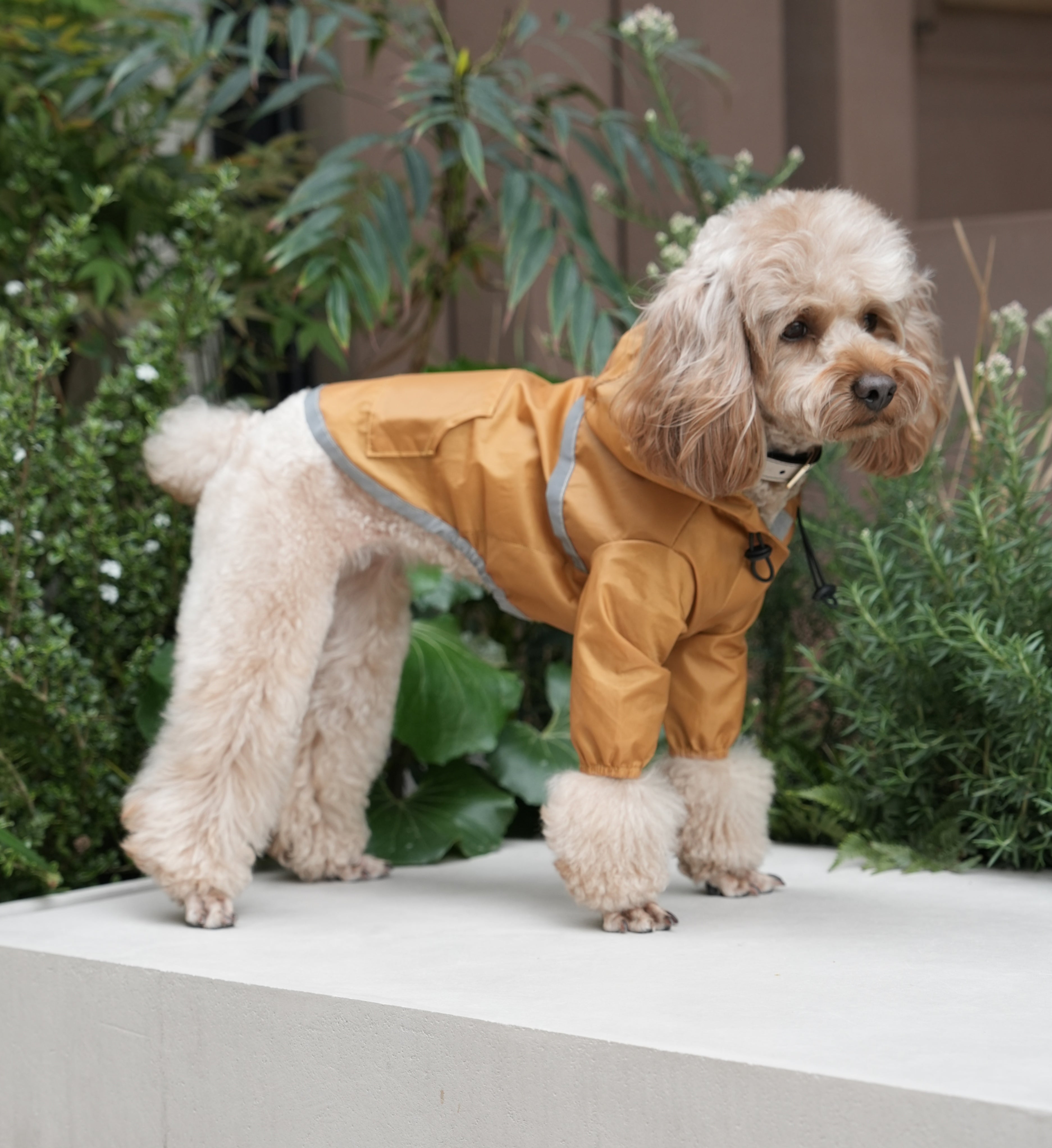 Veste pour chien imperméable, ultralégère et entièrement couvrante avec capuche - Jaune