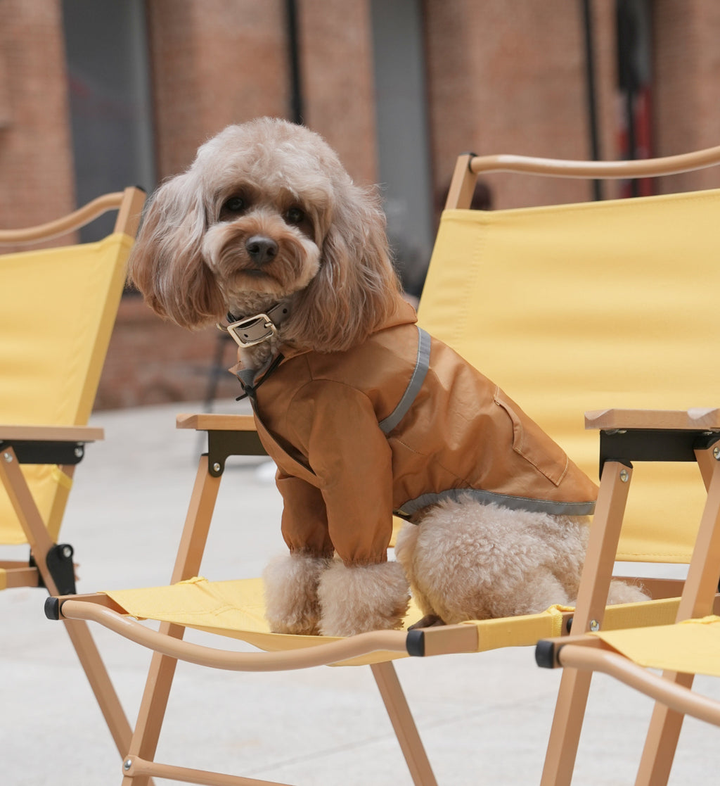 Veste pour chien imperméable, ultralégère et entièrement couvrante avec capuche - Jaune