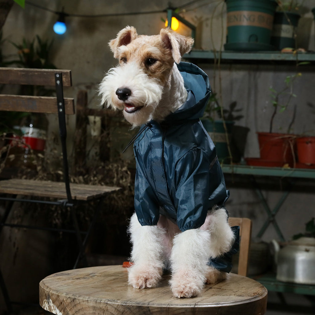 Veste imperméable à capuche intégrale ultralégère pour chien - Bleu