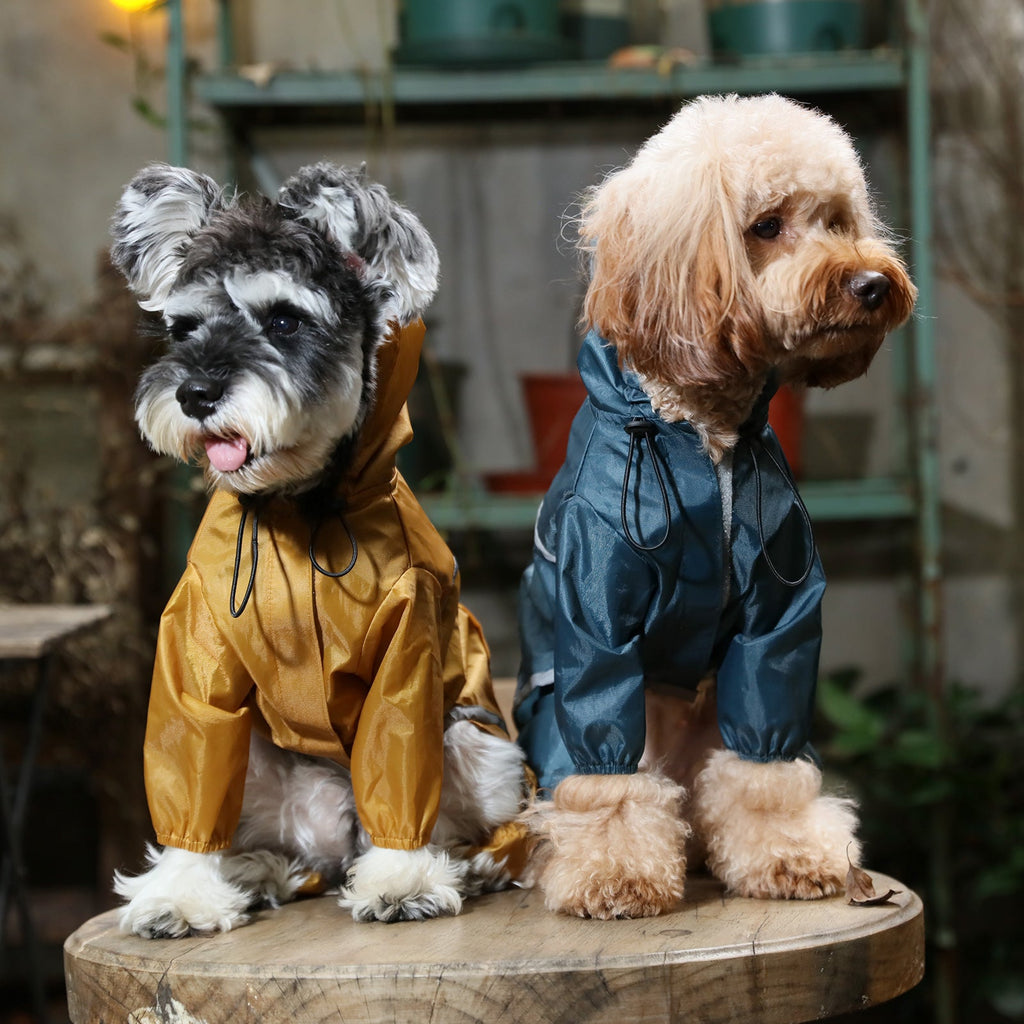 Veste imperméable à capuche intégrale ultralégère pour chien - Bleu