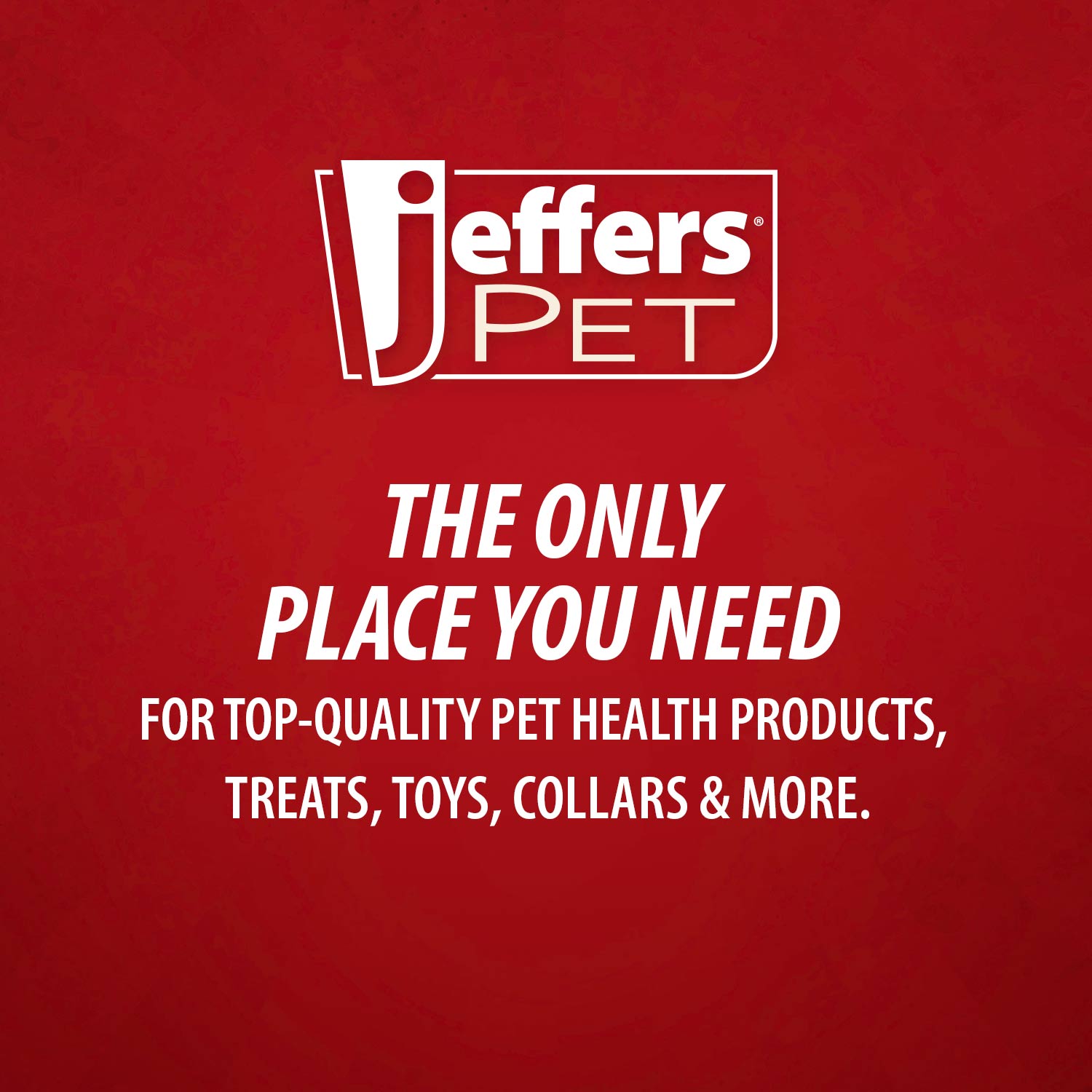 Shampoings hydratants Jeffers pour animaux de compagnie