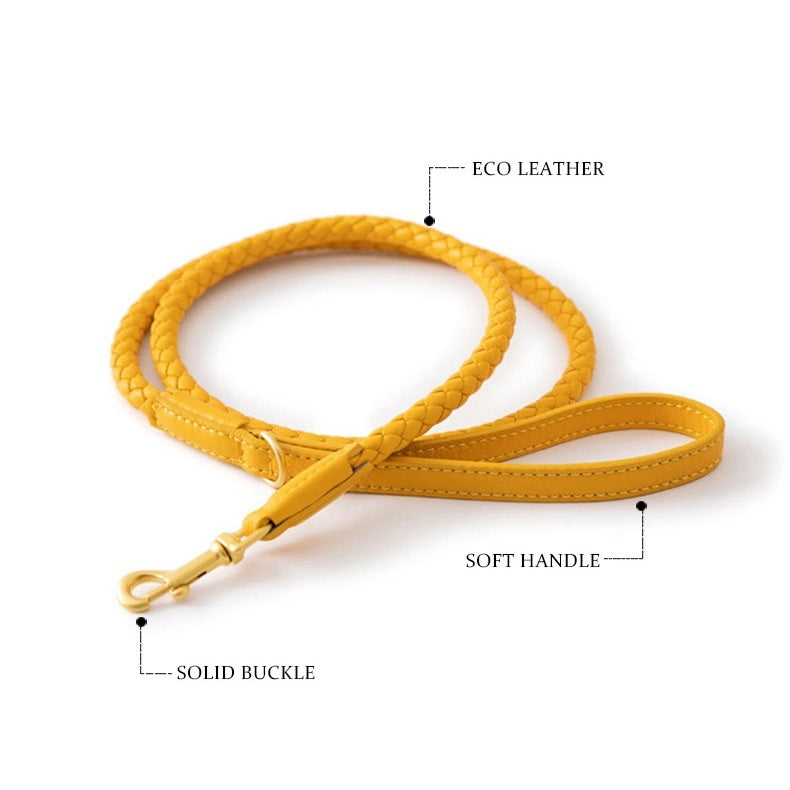 Luxury Braided Leather Dog Collar+Leash Set – Eco-Friendly, Durable, Stylish