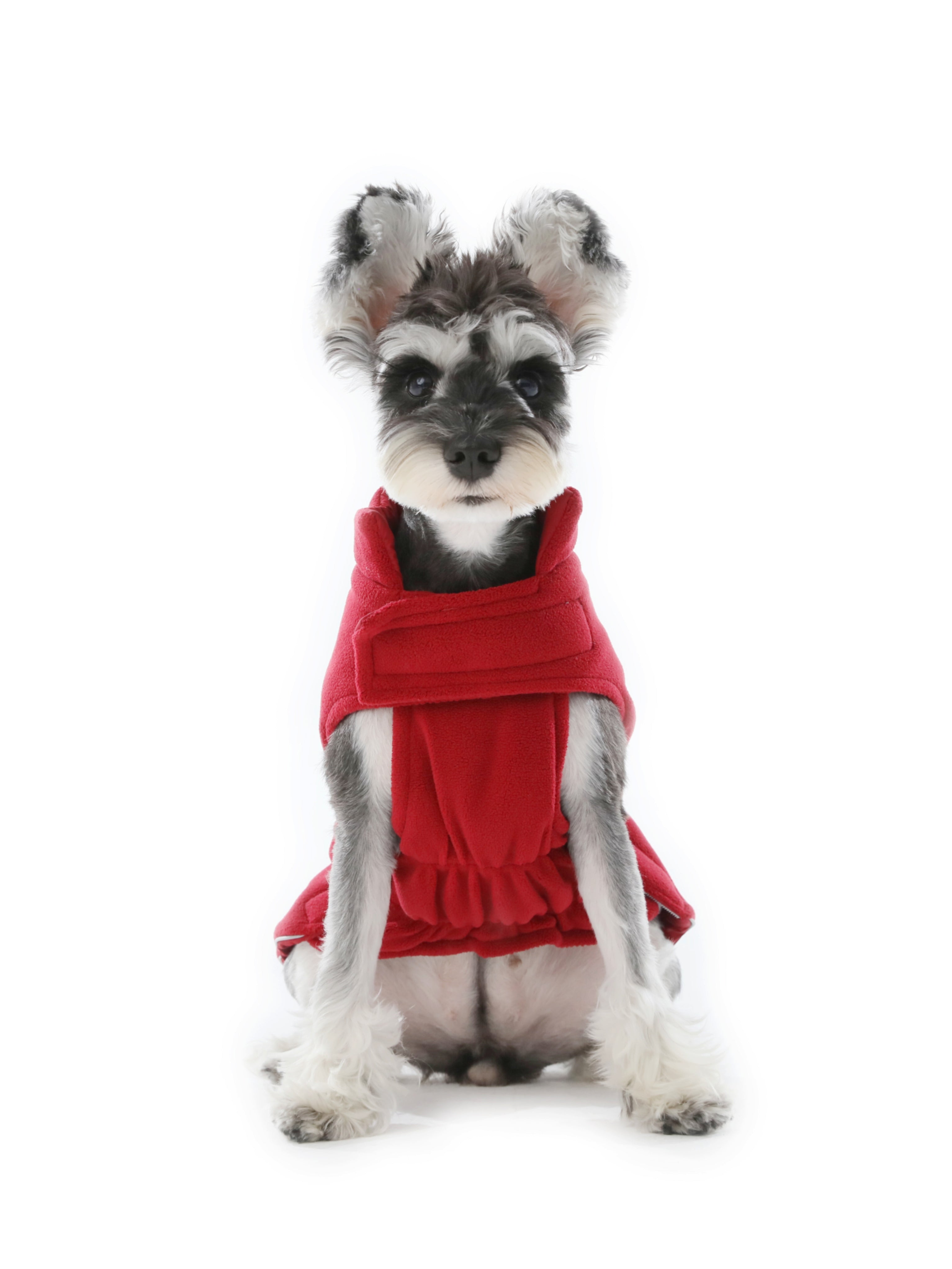 Gilet réversible pour chien - Rouge