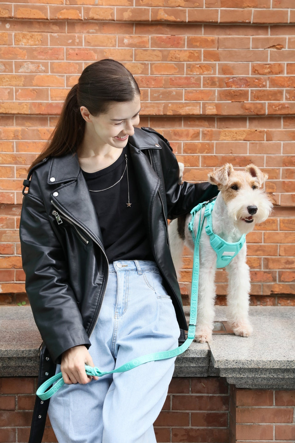 LAISSE REMBOURRÉE ACTIVE POUR ANIMAUX DE COMPAGNIE - VIOLET MENTHE