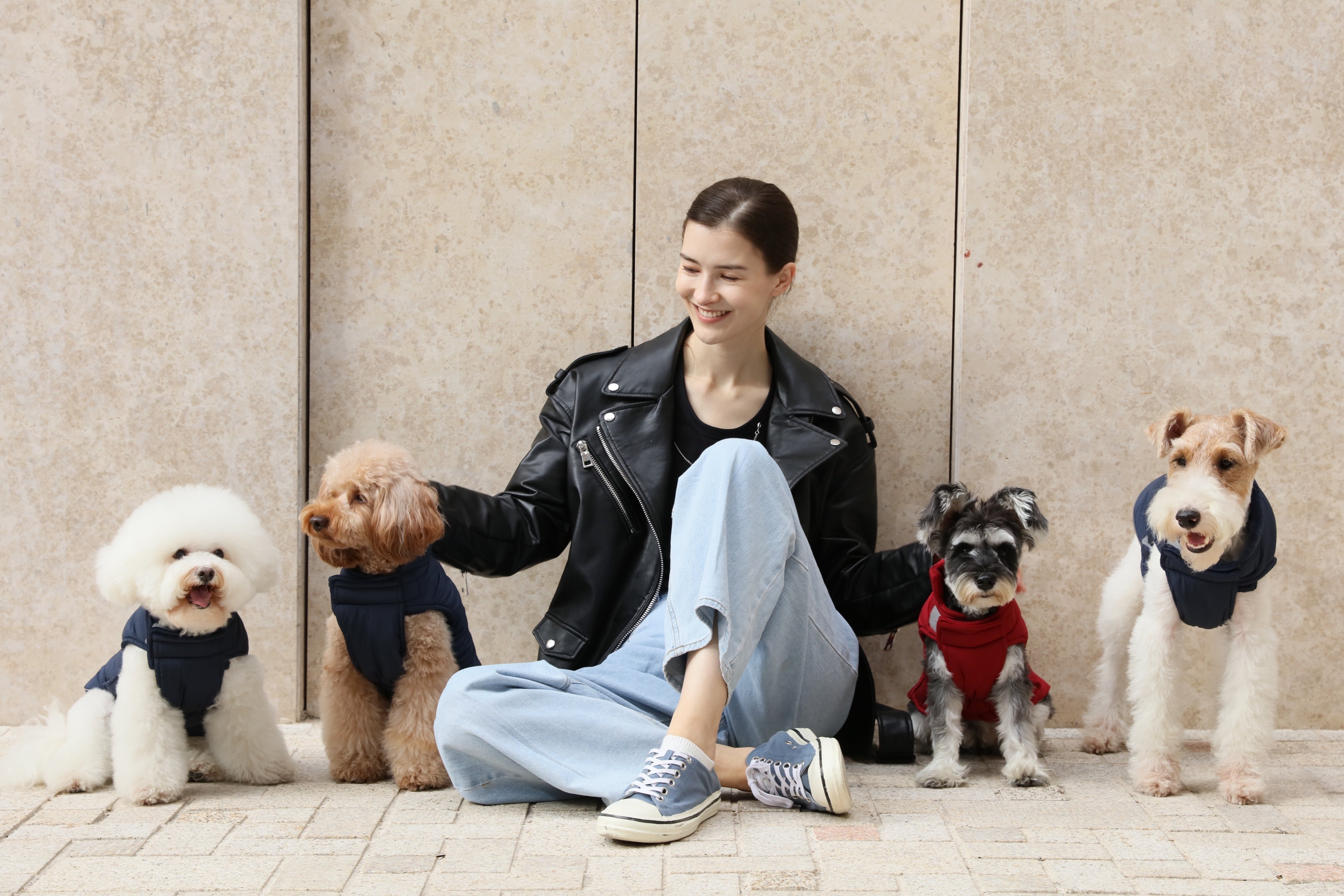 Gilet réversible pour chien - Bleu