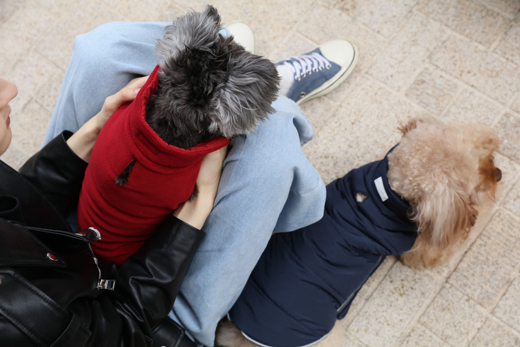 Gilet réversible pour chien - Rouge