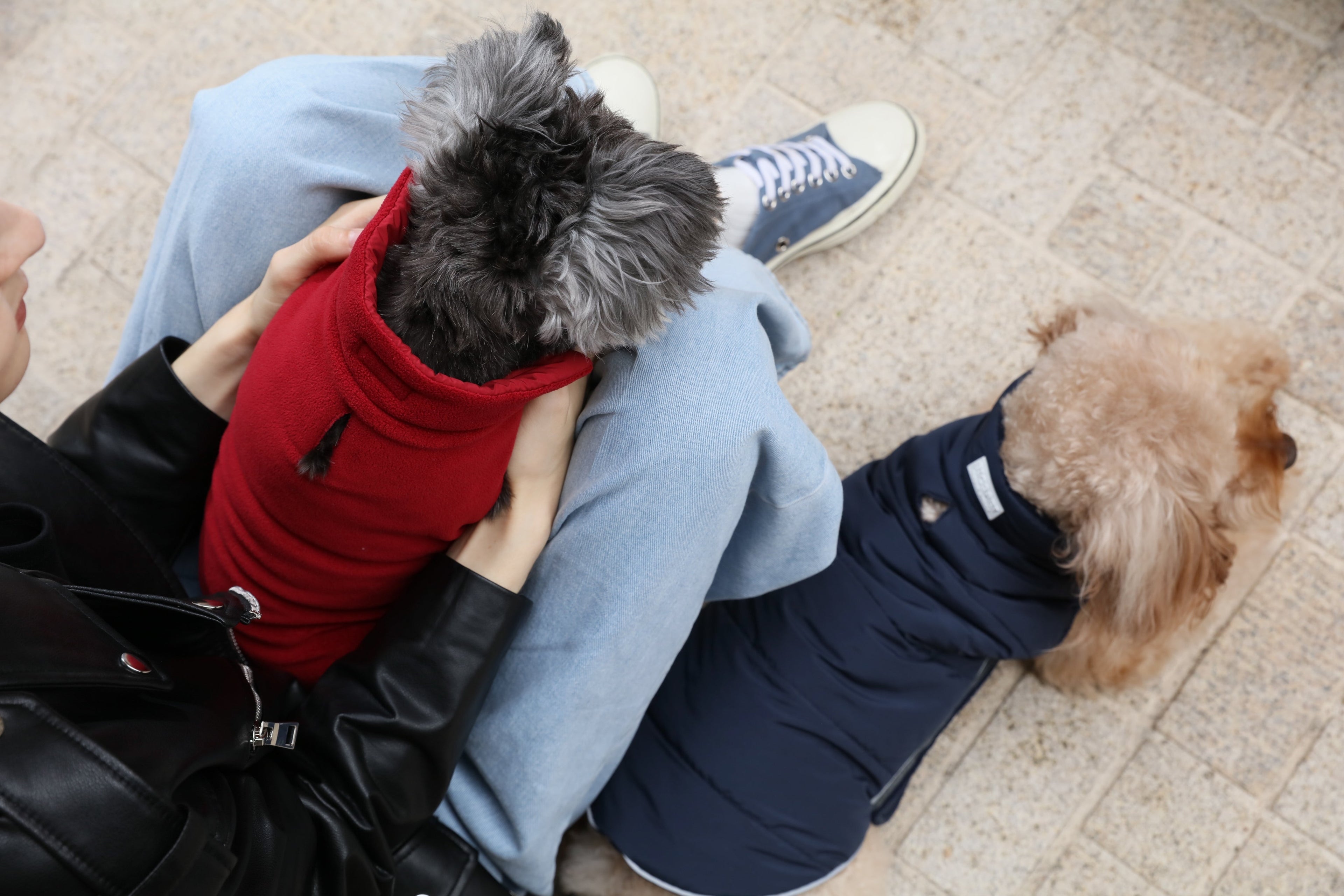 Gilet réversible pour chien - Rouge