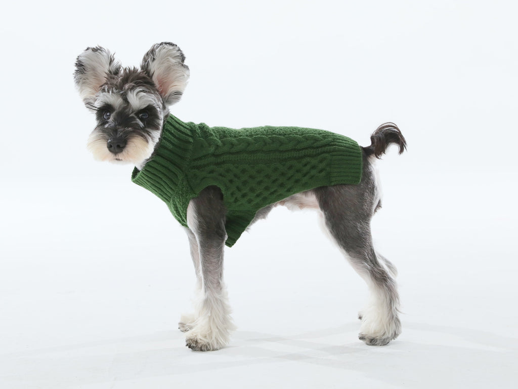Gilet pull pour animaux de compagnie - Vert