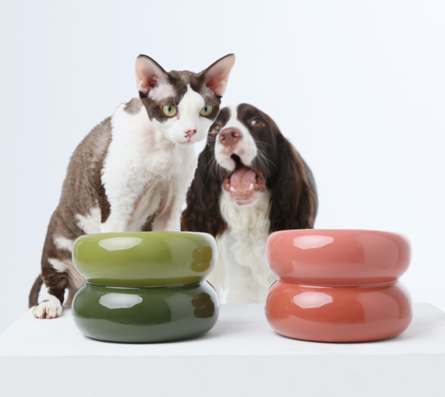 Gamelle Soufflé pour animaux de compagnie - Orange ambré