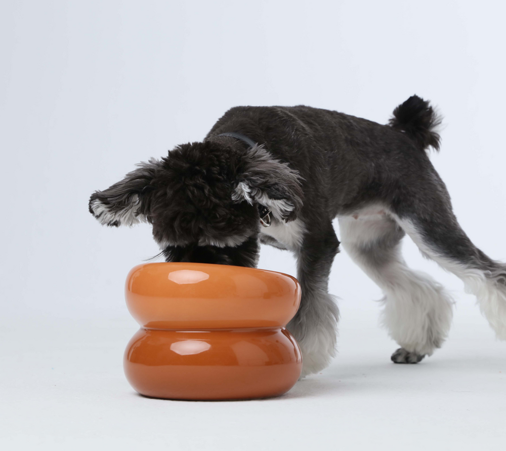 Gamelle Soufflé pour animaux de compagnie - Orange ambré