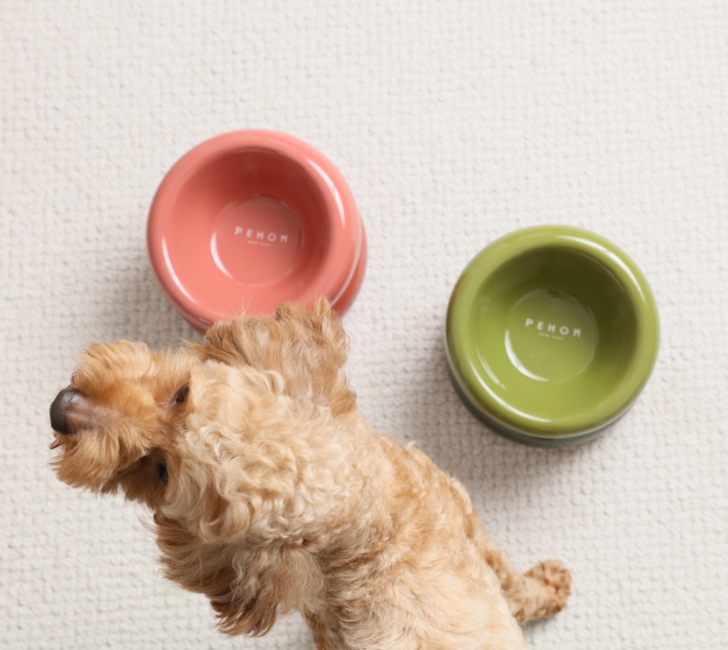 Gamelle Soufflé pour animaux de compagnie - Rose poudré