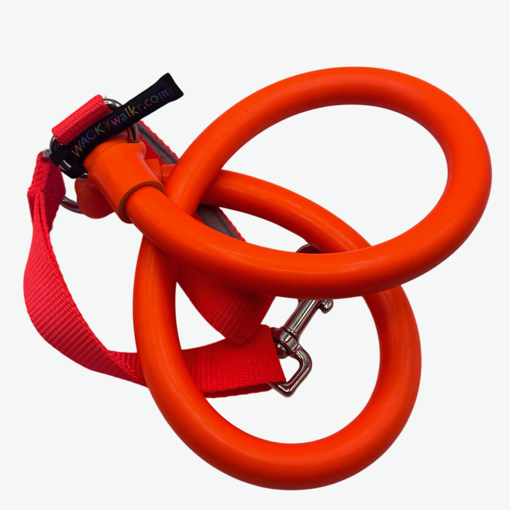 WUNDERleash – La laisse anti-traction originale pour chiens