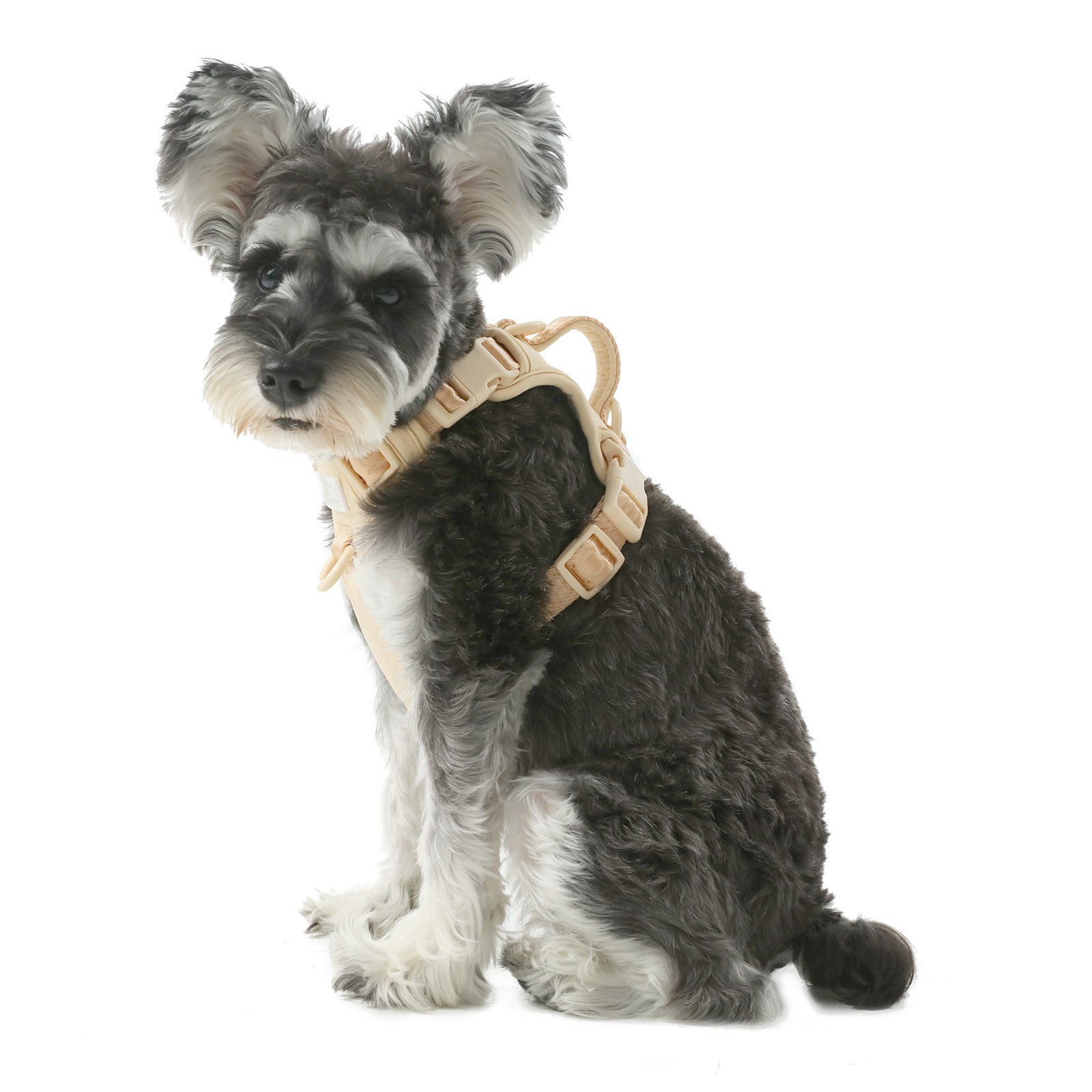 HARNAIS ANTI-TRACTION ACTIF POUR ANIMAL DE COMPAGNIE - ABRICOT