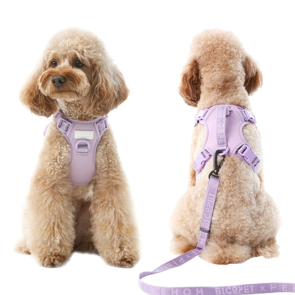 HARNAIS POUR ANIMAUX DE COMPAGNIE ANTI-TRACTION - VIOLET MENTHE