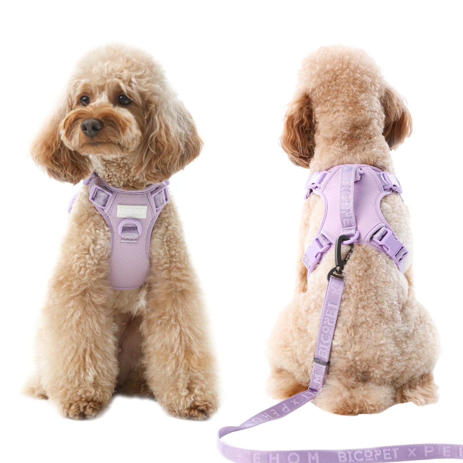 HARNAIS POUR ANIMAUX DE COMPAGNIE ANTI-TRACTION - VIOLET MENTHE