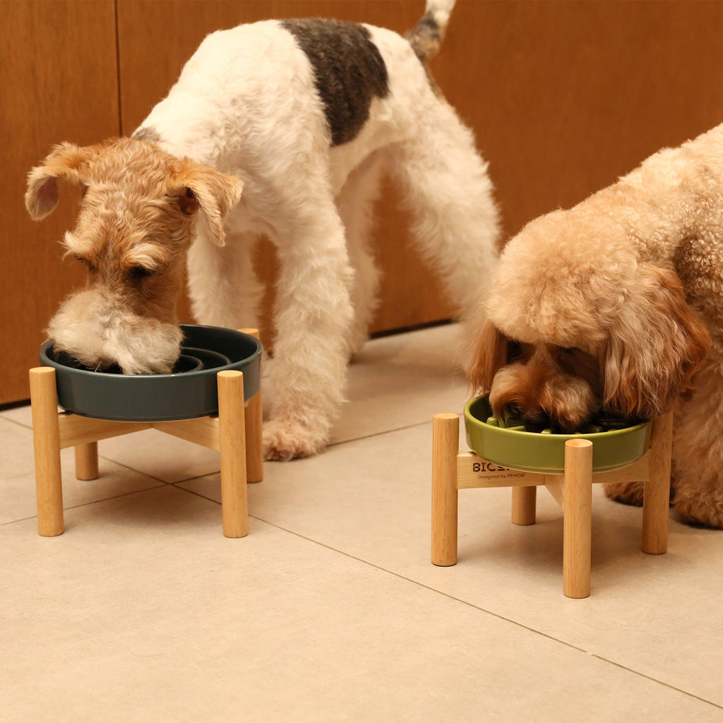 [Wave] Gamelles anti-glouton pour chien - Rose / Beige / Orange