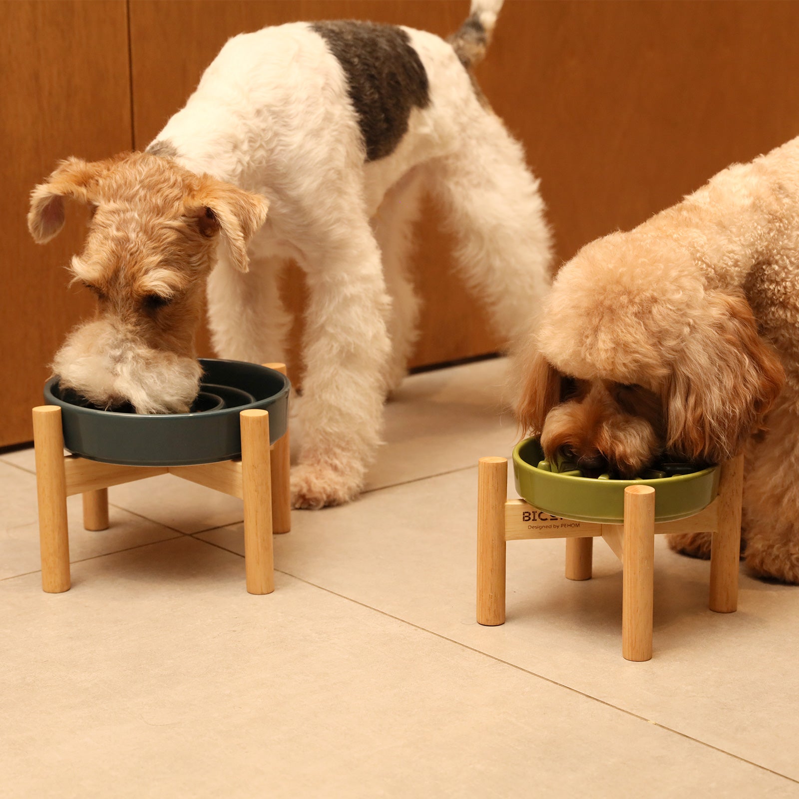 [Wave] Gamelles anti-glouton pour chien - Rose / Beige / Orange