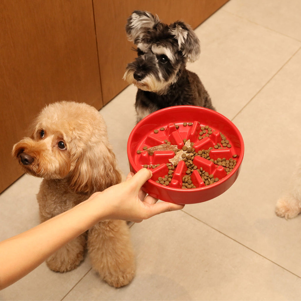 [Spark] Gamelles anti-glouton pour chien - Rouge / Vert / Bleu