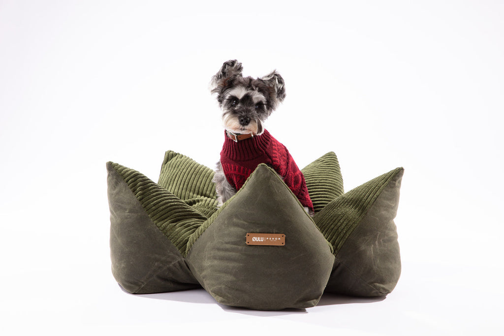 OULU X PEHOM - LIT COUSSIN DOUILLET POUR ANIMAUX DE COMPAGNIE - Bleu marine / Vert olive / Brun canyon