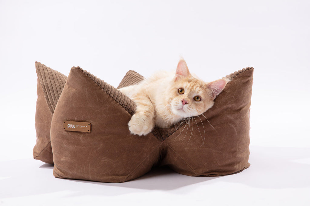 OULU X PEHOM - LIT COUSSIN DOUILLET POUR ANIMAUX DE COMPAGNIE - Bleu marine / Vert olive / Brun canyon
