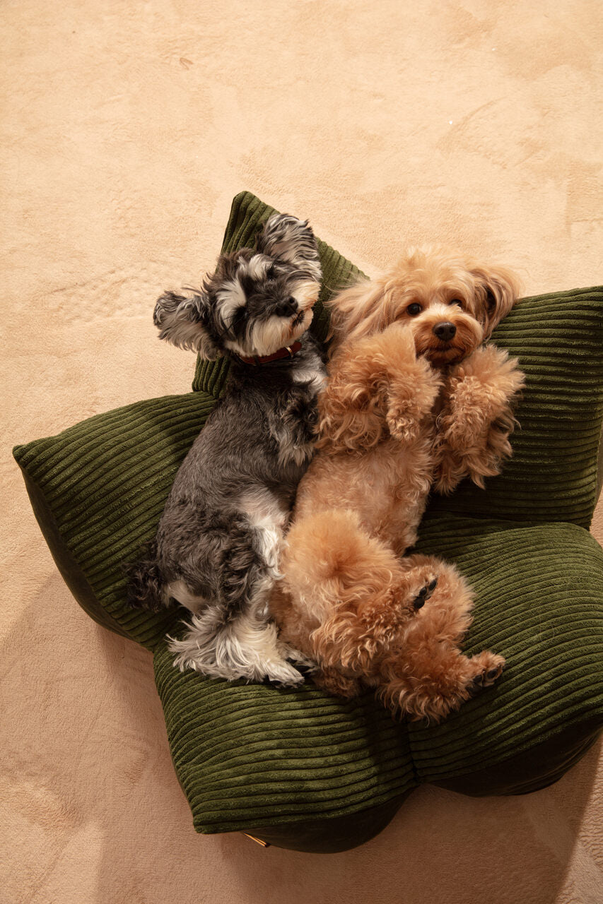 OULU X PEHOM - LIT COUSSIN DOUILLET POUR ANIMAUX DE COMPAGNIE - Bleu marine / Vert olive / Brun canyon