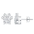 Boucles d'oreilles clous en forme de patte de chien, diamant de laboratoire certifié