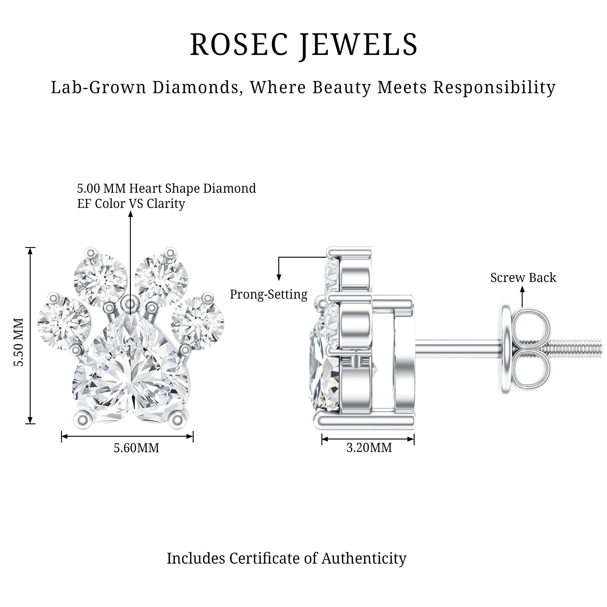 Boucles d'oreilles clous en forme de patte de chien, diamant de laboratoire certifié