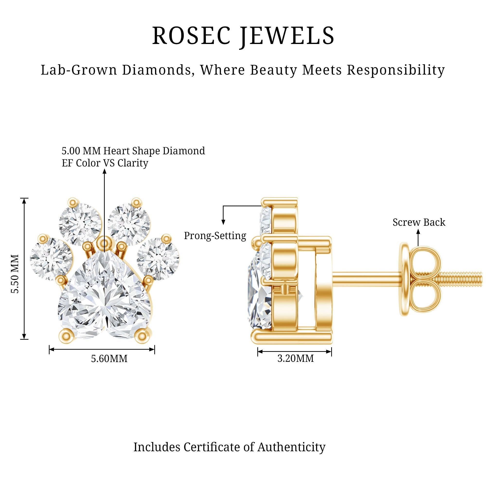 Boucles d'oreilles clous en forme de patte de chien, diamant de laboratoire certifié
