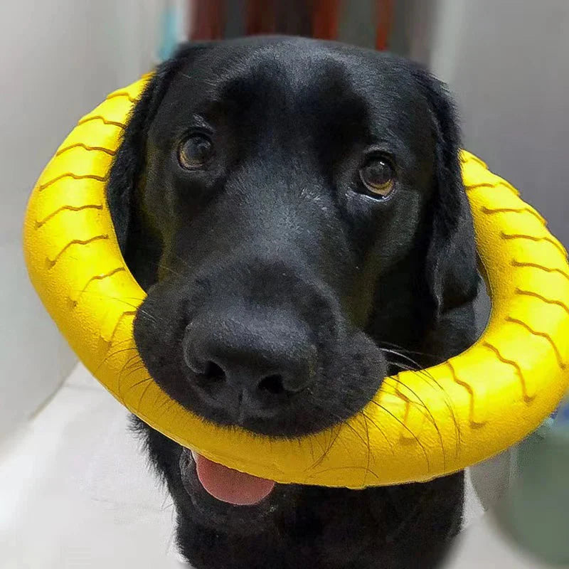 Durable Dog Ring Toy – Indestructible Flying & Chewing Training Toy
