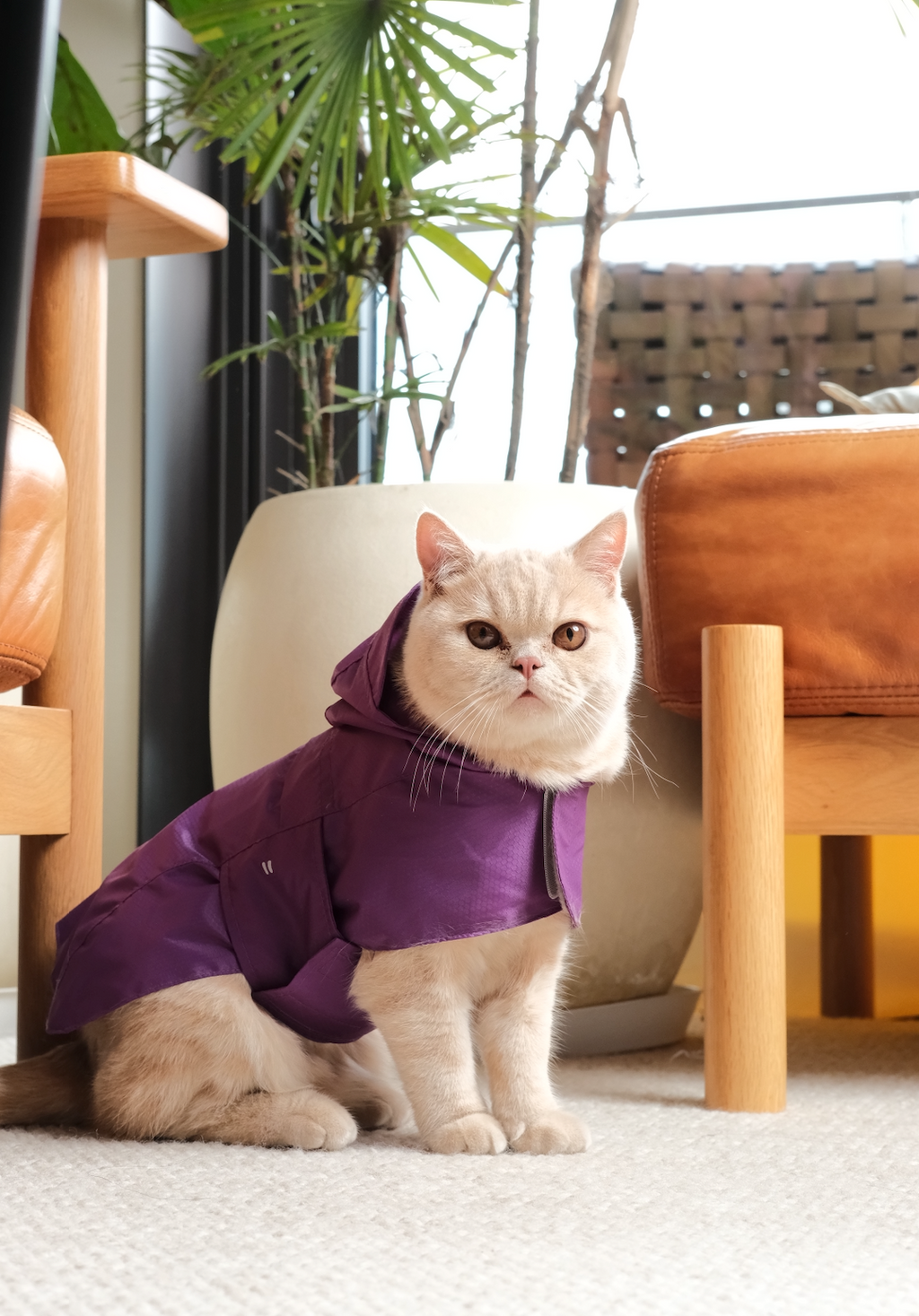 Imperméable Capsule - Vert