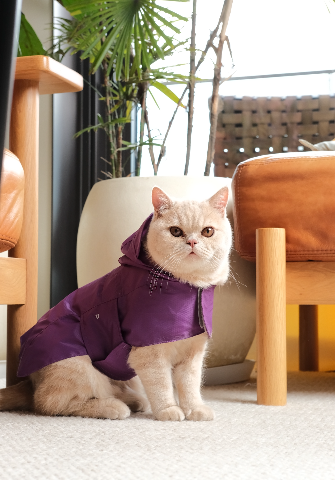 Imperméable Capsule - Vert