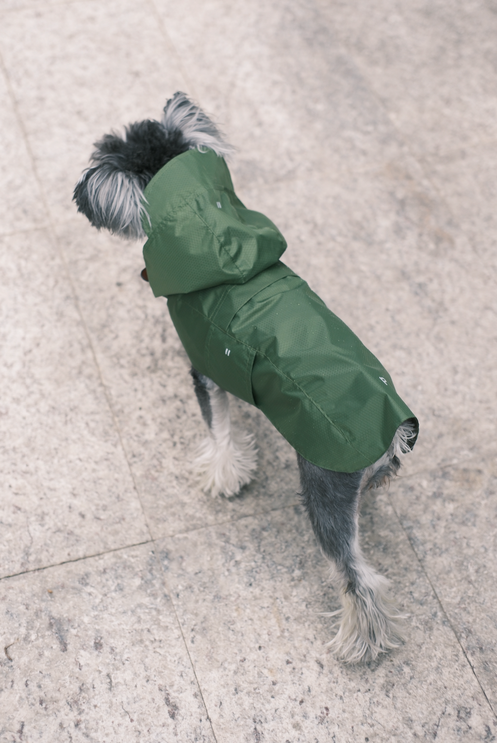 Imperméable Capsule - Vert