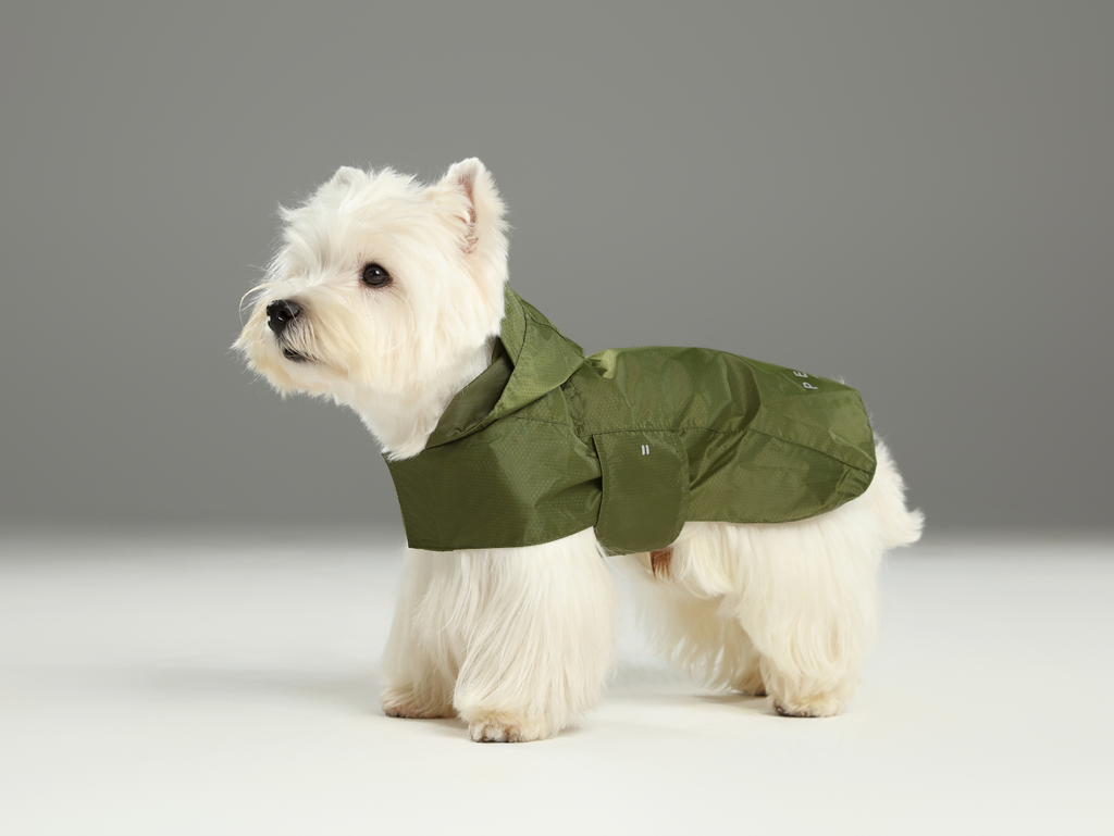 Imperméable Capsule - Vert