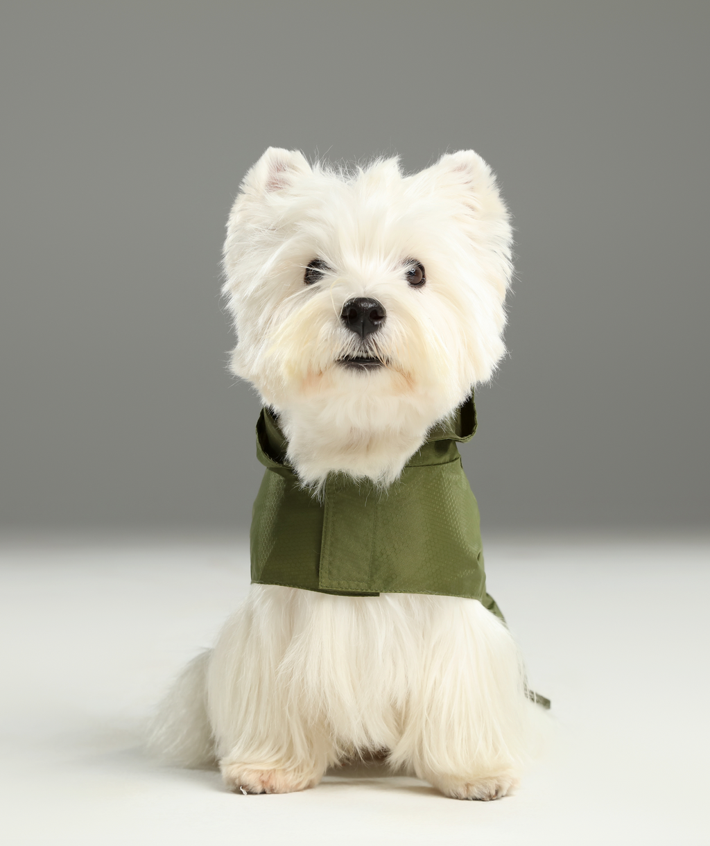 Imperméable Capsule - Vert