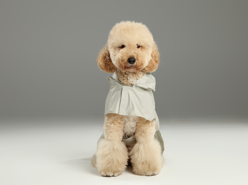 Imperméable Capsule - Beige