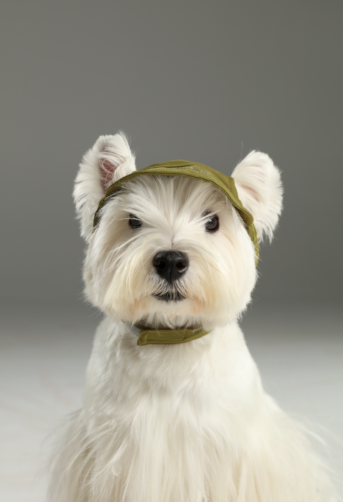 CASQUETTE DE TENNIS - VERTE