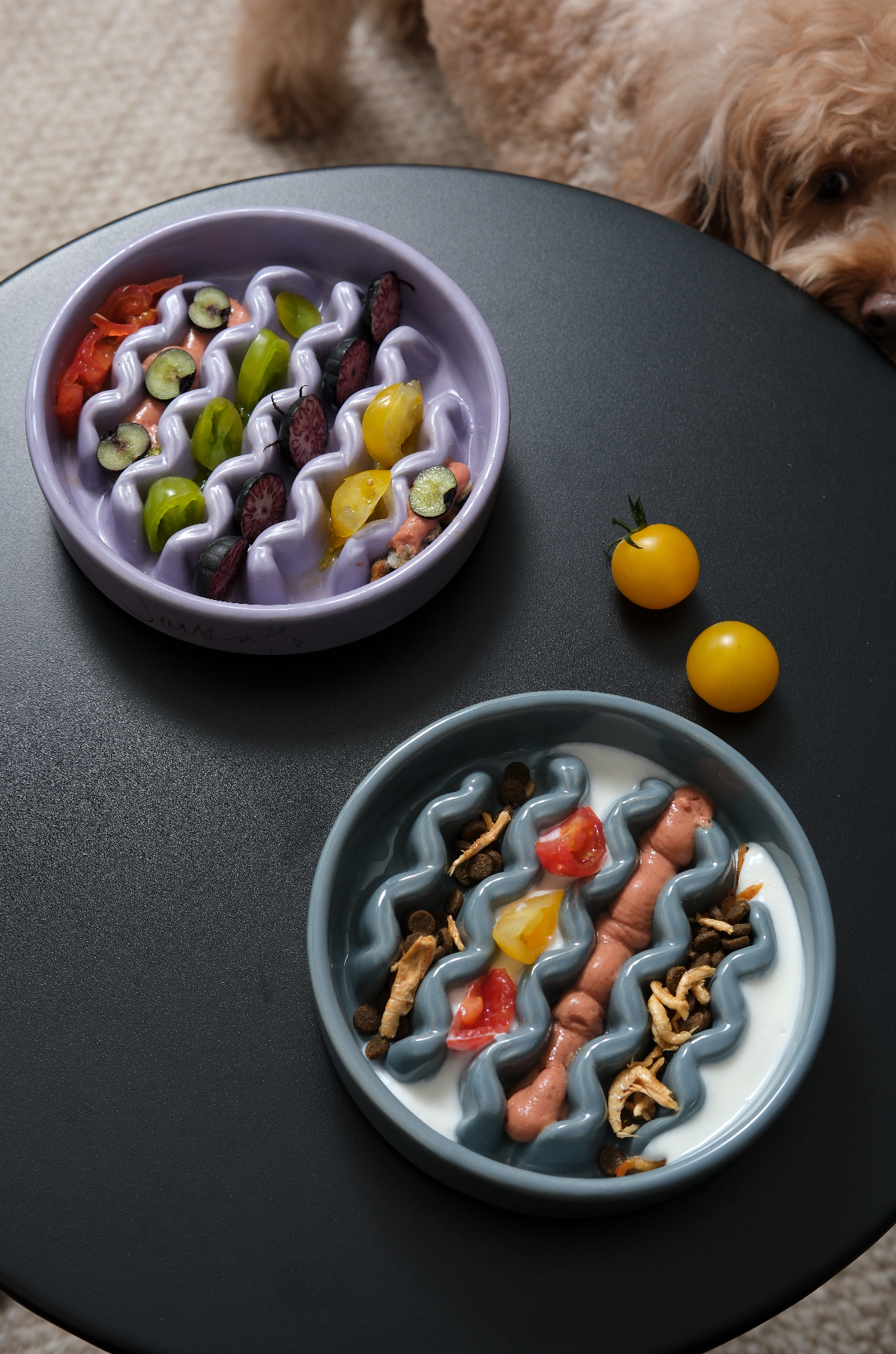 [Macaroni] Gamelles Lente Absorption pour Chien - Jaune / Bleu Glacé / Violet