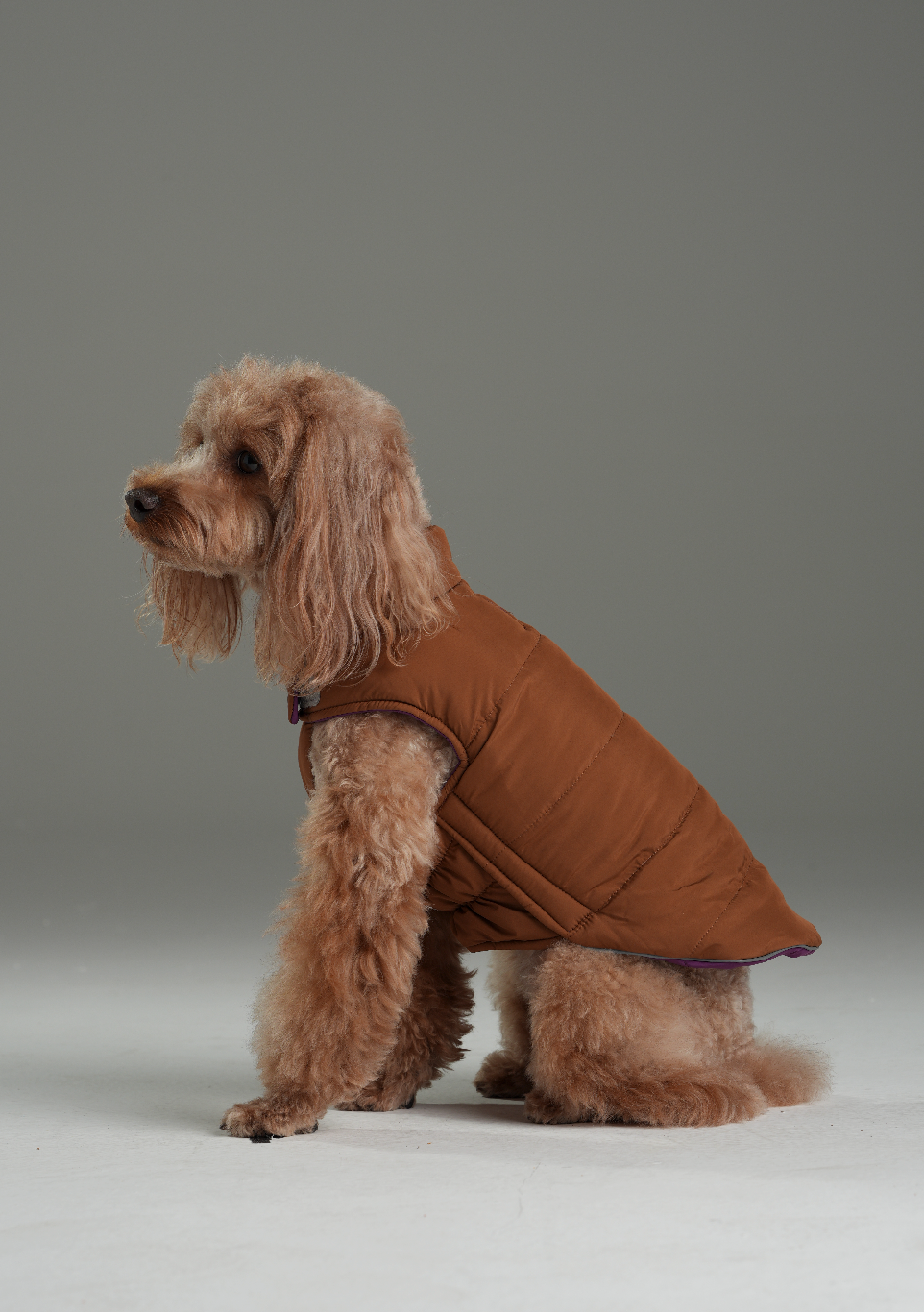 Gilet réversible pour chien - Violet Caramel
