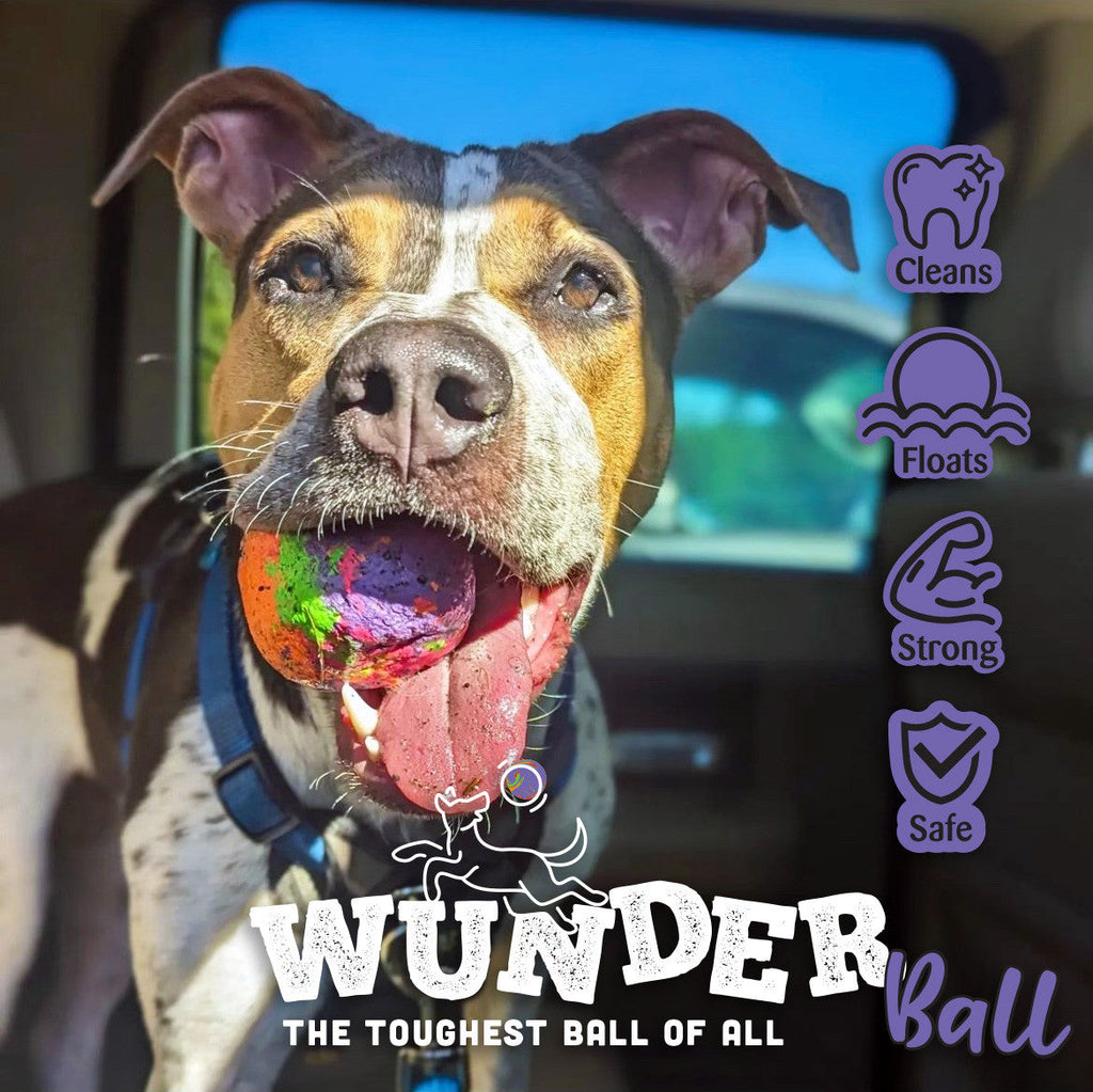 WUNDERball - Meilleur jouet à rapporter
