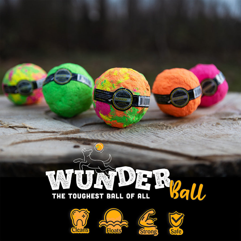WUNDERball - Meilleur jouet à rapporter