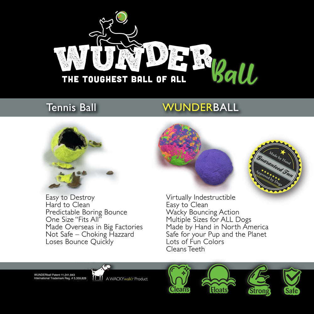 WUNDERball - Meilleur jouet à rapporter