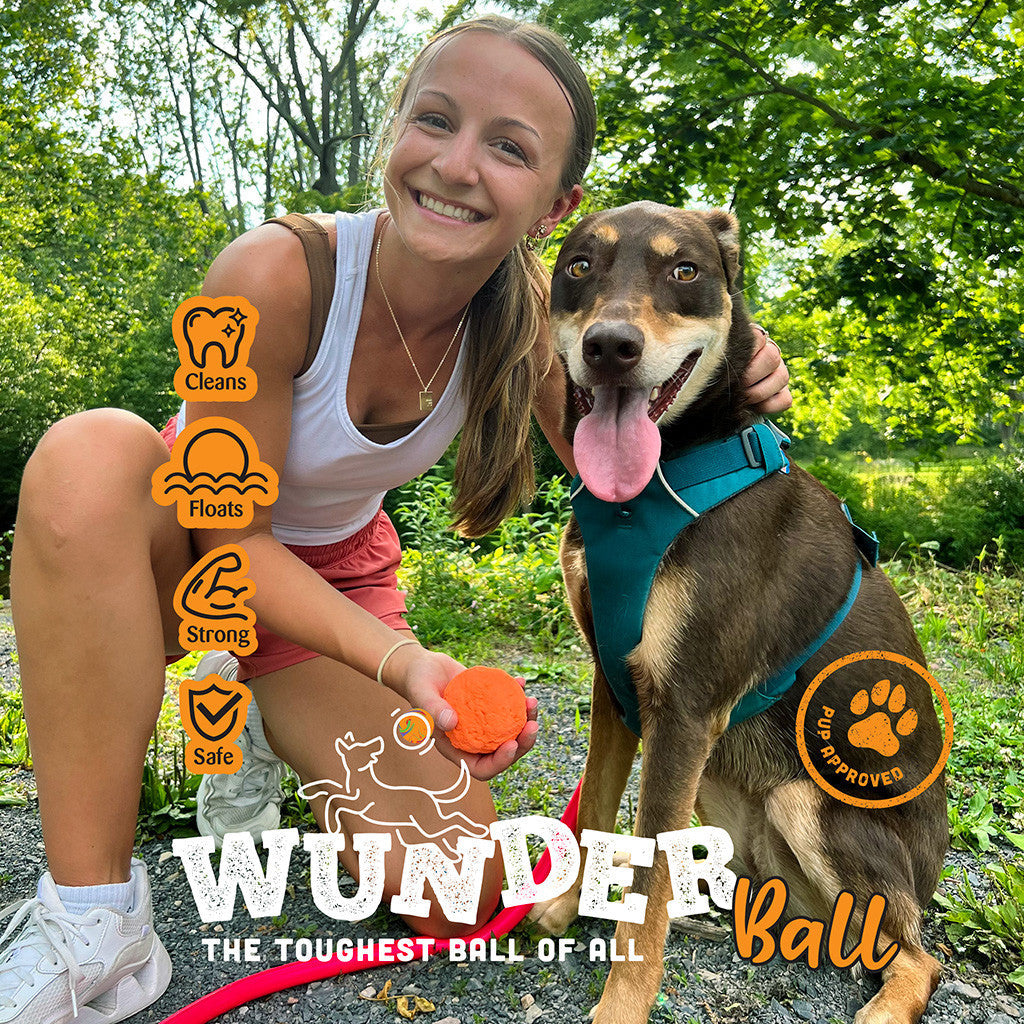 WUNDERball - Meilleur jouet à rapporter