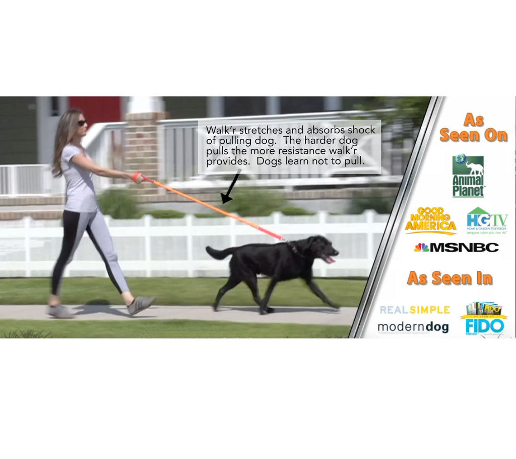 WUNDERleash – La laisse anti-traction originale pour chiens