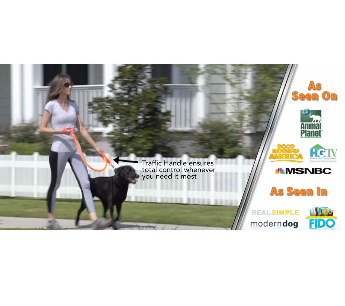 WUNDERleash – La laisse anti-traction originale pour chiens