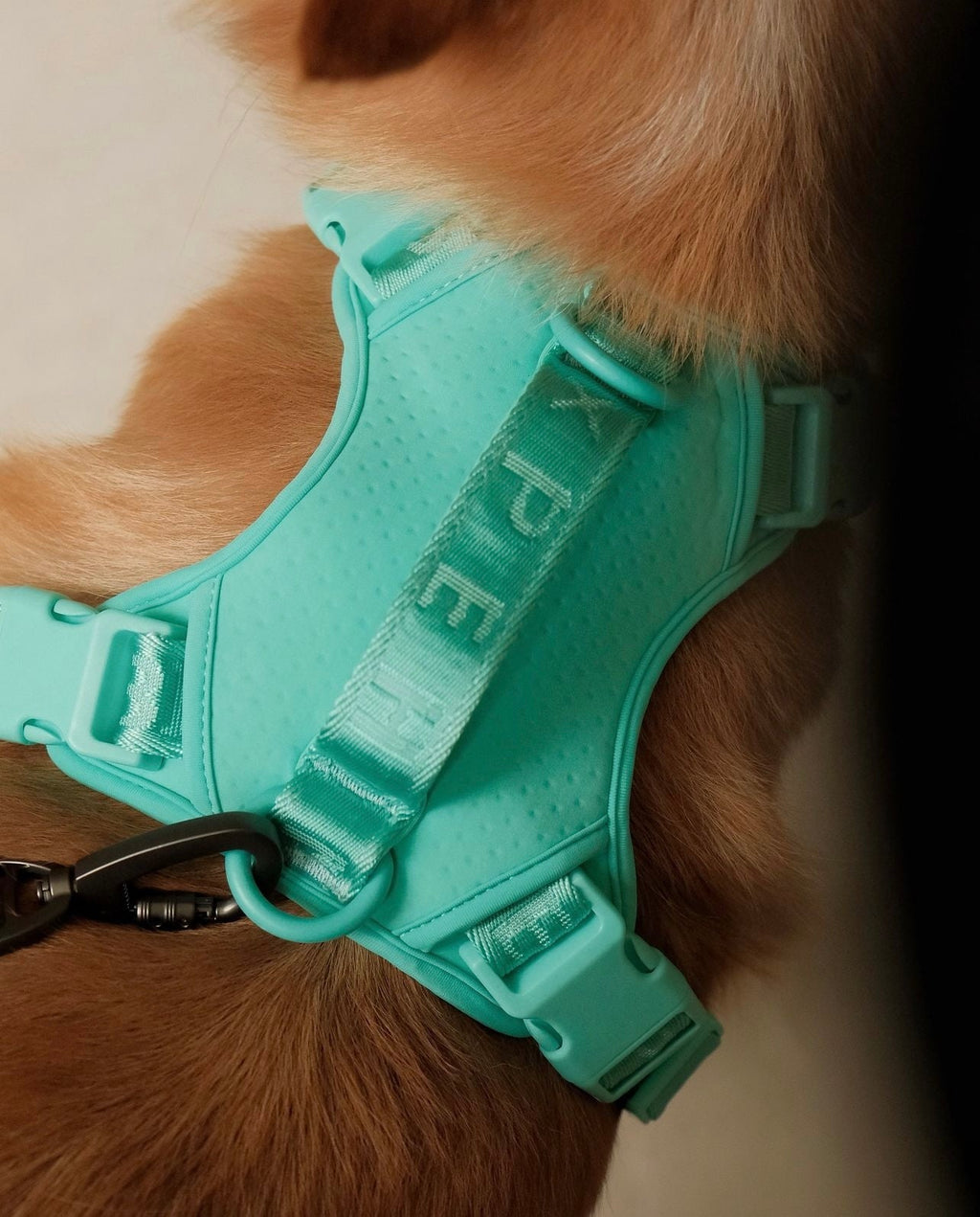 HARNAIS POUR ANIMAUX ANTI-TRACTION - VERT MENTHE